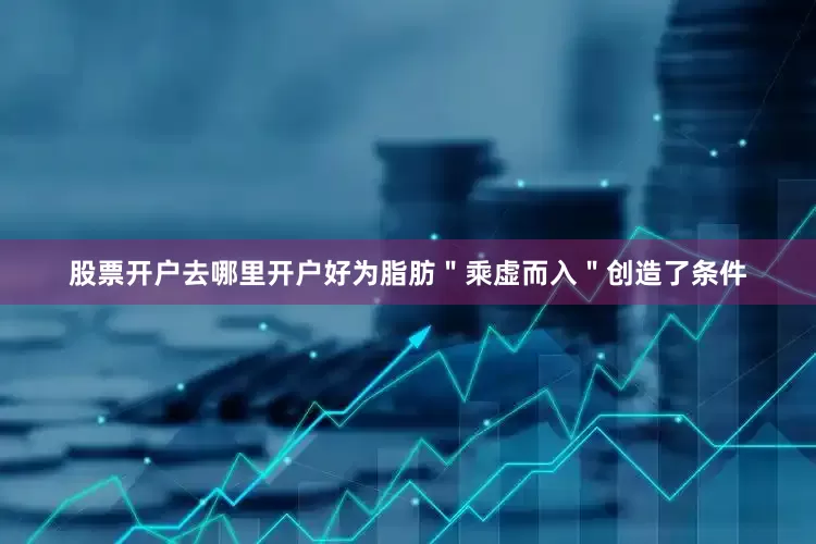 股票开户去哪里开户好为脂肪＂乘虚而入＂创造了条件