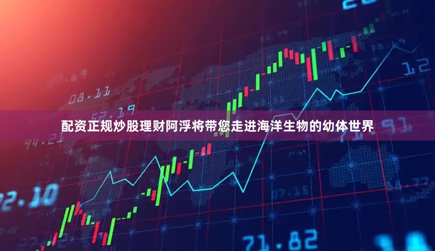 配资正规炒股理财阿浮将带您走进海洋生物的幼体世界
