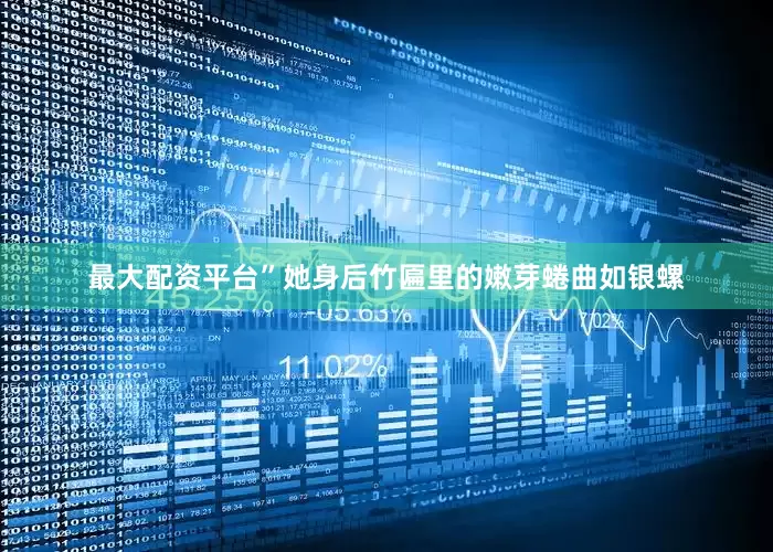 最大配资平台”她身后竹匾里的嫩芽蜷曲如银螺