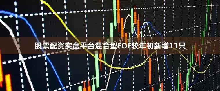 股票配资实盘平台混合型FOF较年初新增11只