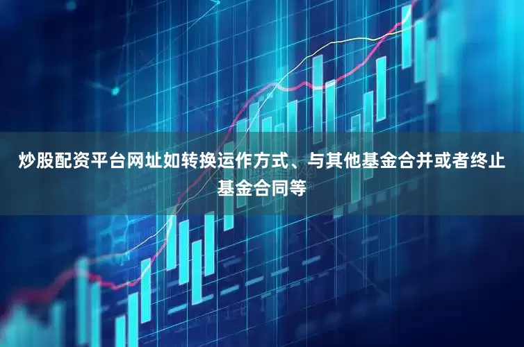 炒股配资平台网址如转换运作方式、与其他基金合并或者终止基金合同等