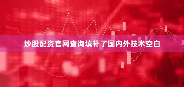 炒股配资官网查询填补了国内外技术空白